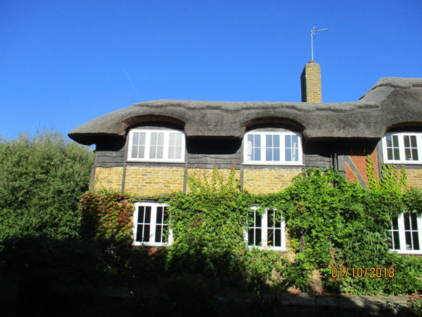 Thatched Roof