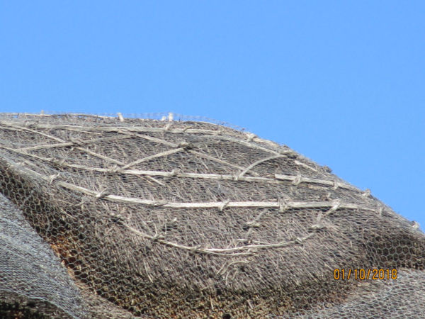 Thatched Roof